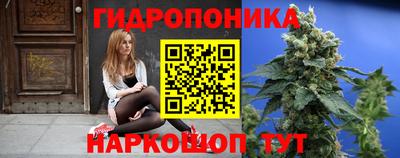 каннабис Будённовск