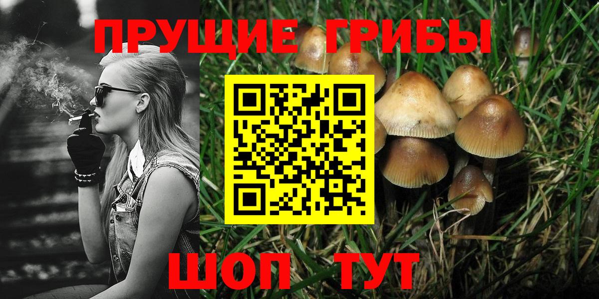 Галлюциногенные грибы прущие грибы  где можно купить наркотик  Салехард  Вход с VPN 